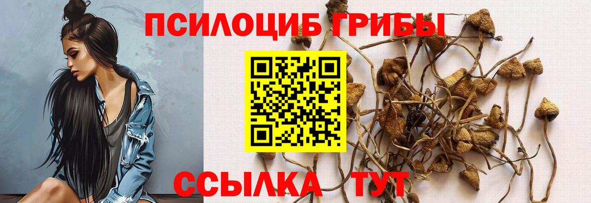 Сосновый Бор  Галлюциногенные грибы ЛСД  Вход с VPN 
